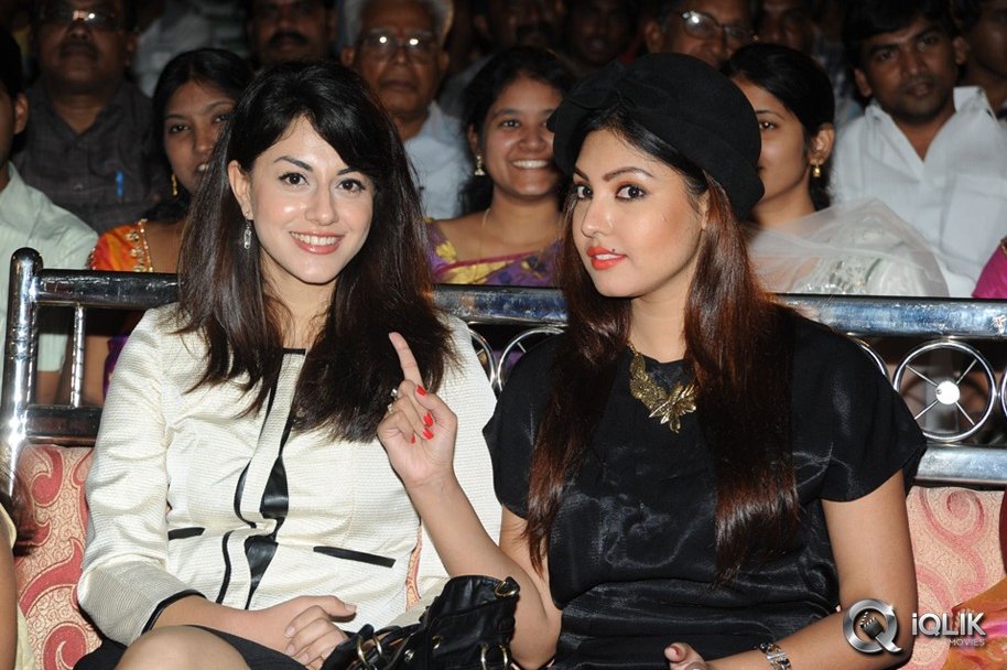 Billa-Ranga-Movie-Audio-Launch